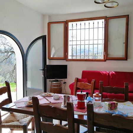 Casa Pancole Il Tinello Apartment Cavriglia Ngoại thất bức ảnh