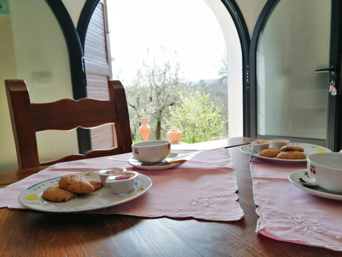 Casa Pancole Il Tinello Apartment Cavriglia Ngoại thất bức ảnh